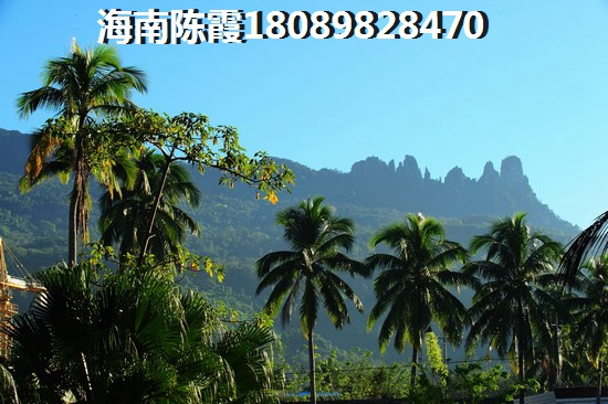 森茂汽车城房价还在涨吗