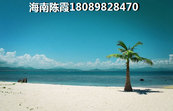吴中万达生活广场 一居 41㎡ 户型图