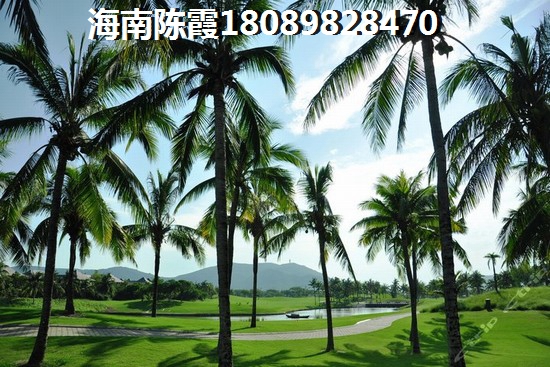 花桥中科苑 一居  户型图